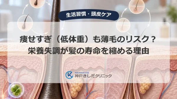 痩せすぎ（低体重）も薄毛のリスク？栄養失調が髪の寿命を縮める理由