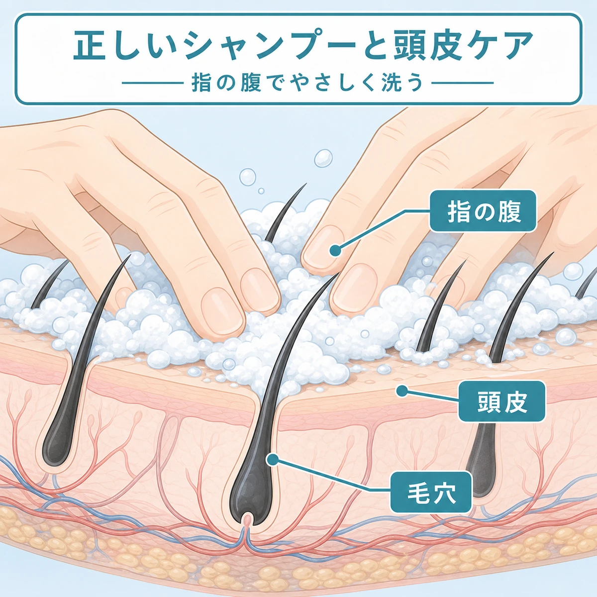 頭皮を傷めない正しいシャンプーと指の腹での頭皮マッサージを表した医療イラスト