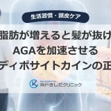 内臓脂肪が増えると髪が抜ける？AGAを加速させるアディポサイトカインの正体