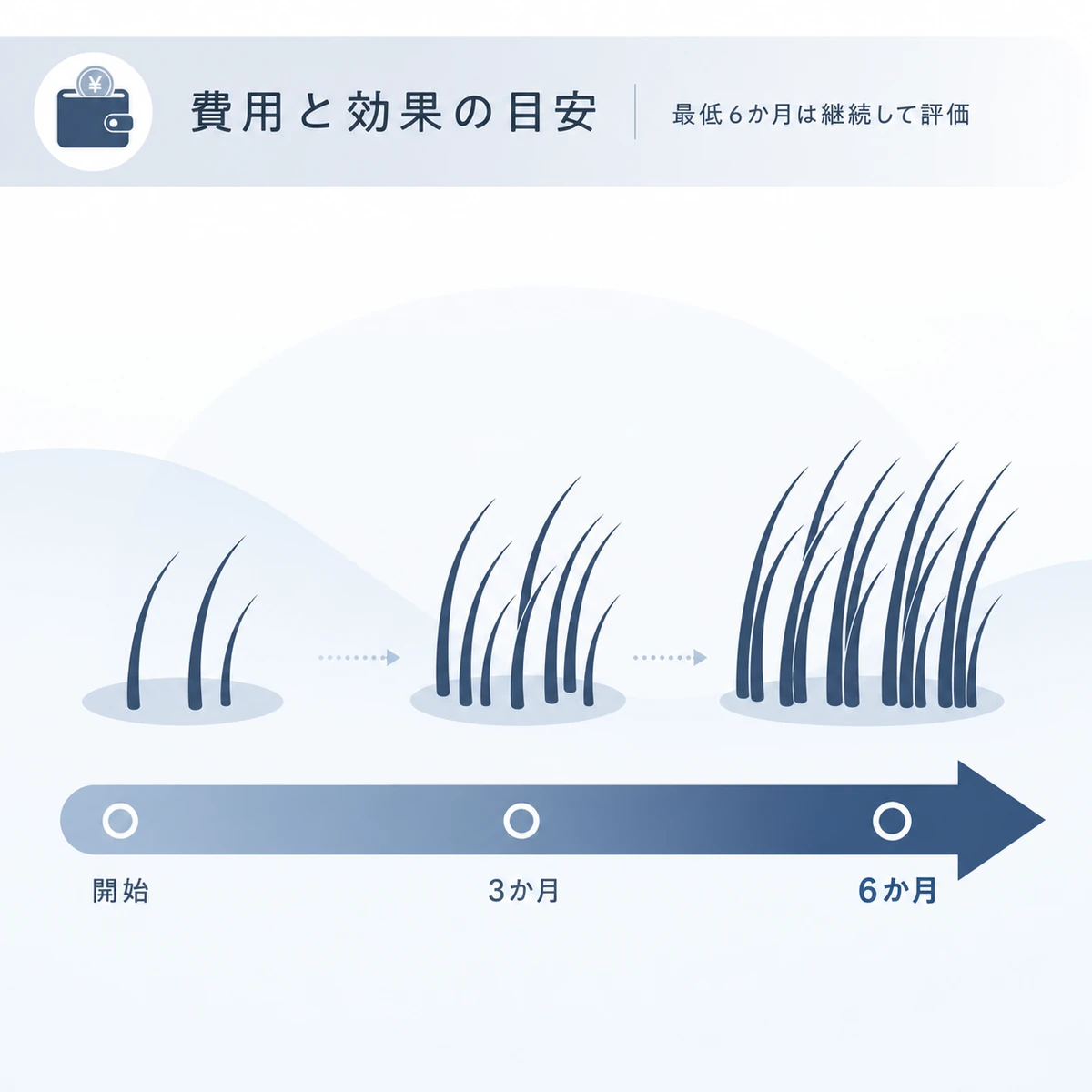 AGA治療の費用と効果を実感するまでの期間を時間軸で表した医療イラスト