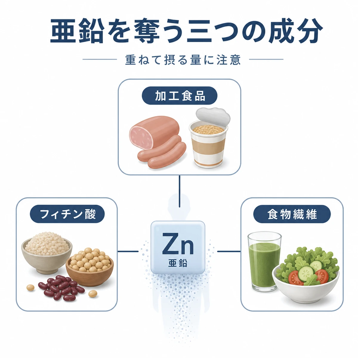 加工食品のリン酸塩やフィチン酸や食物繊維が亜鉛と結合して排出を促す要因を表した医療イラスト