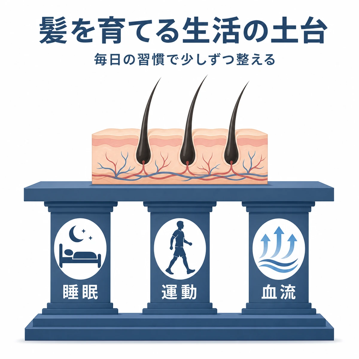 睡眠や運動や血流が亜鉛の働きを支える生活の土台を表した医療イラスト