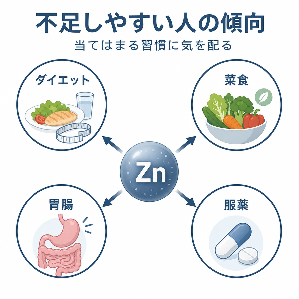 糖尿病やダイエットや胃腸の状態など亜鉛不足になりやすい要因を相関図で表した医療イラスト