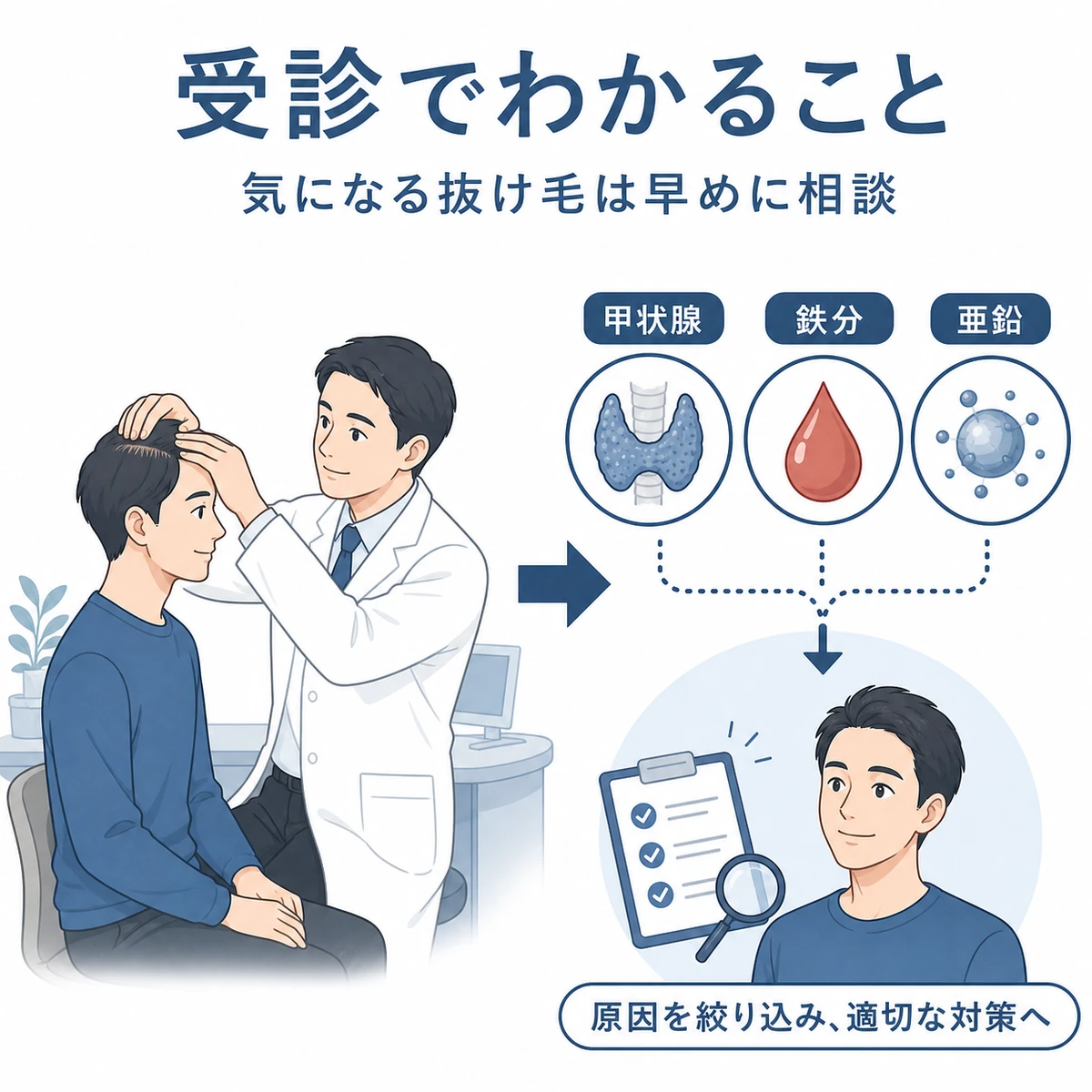 抜け毛を男性医師に相談し甲状腺や鉄や亜鉛を血液検査で調べる流れを表した医療イラスト