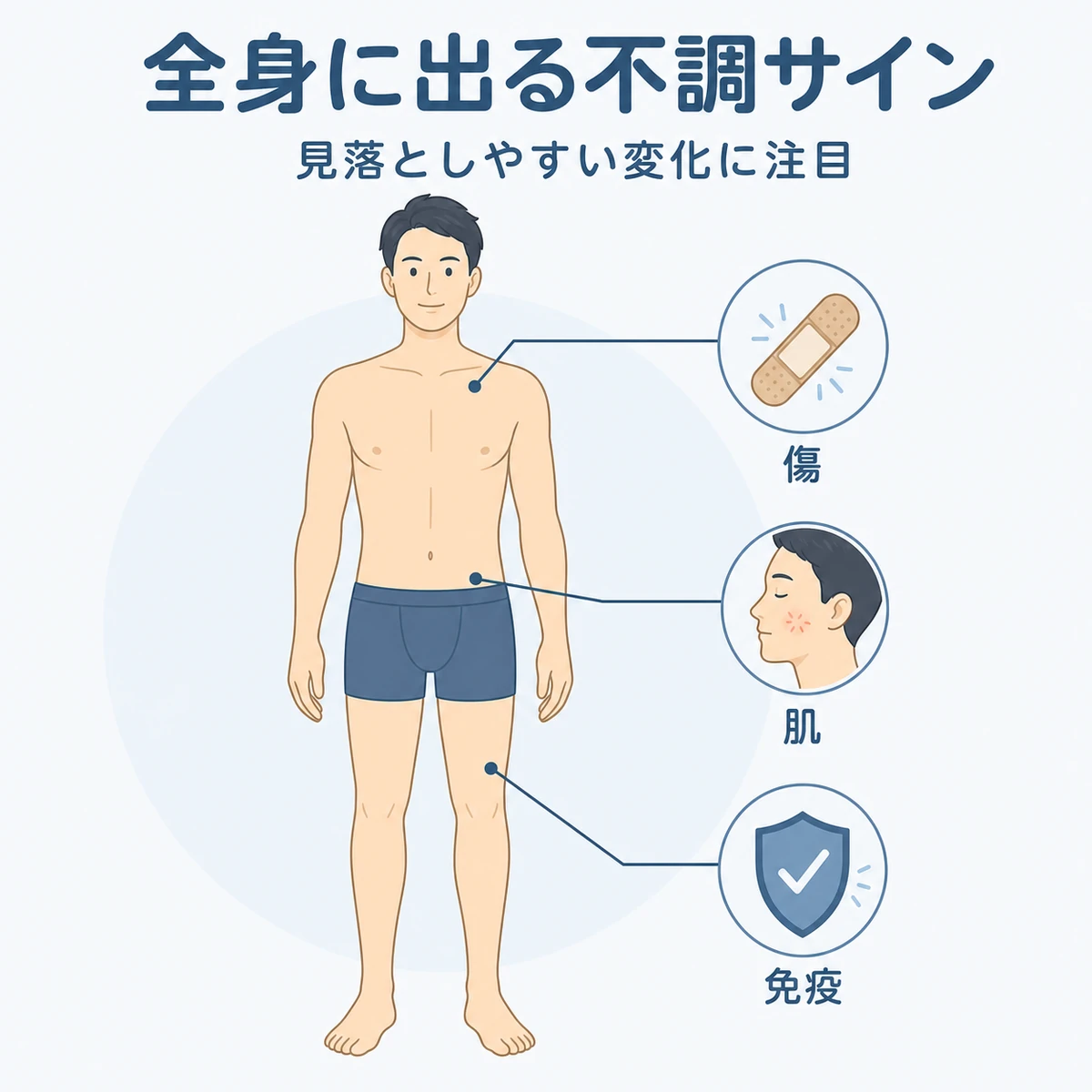 亜鉛不足が皮膚や免疫など全身に及ぼす見落としがちなサインを体マップで表した医療イラスト