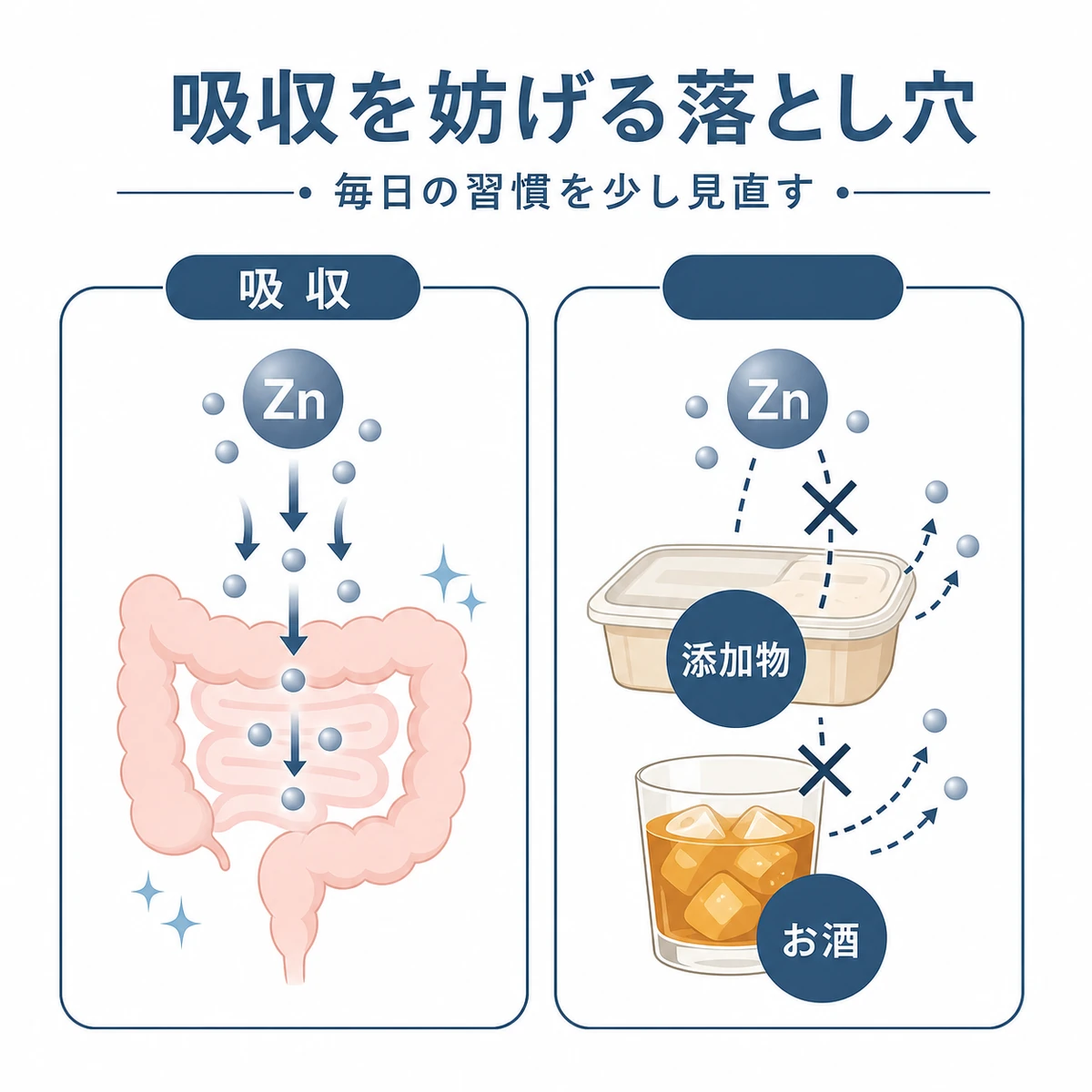 加工食品の添加物やアルコールが亜鉛の吸収を妨げる落とし穴を対比で表した医療イラスト