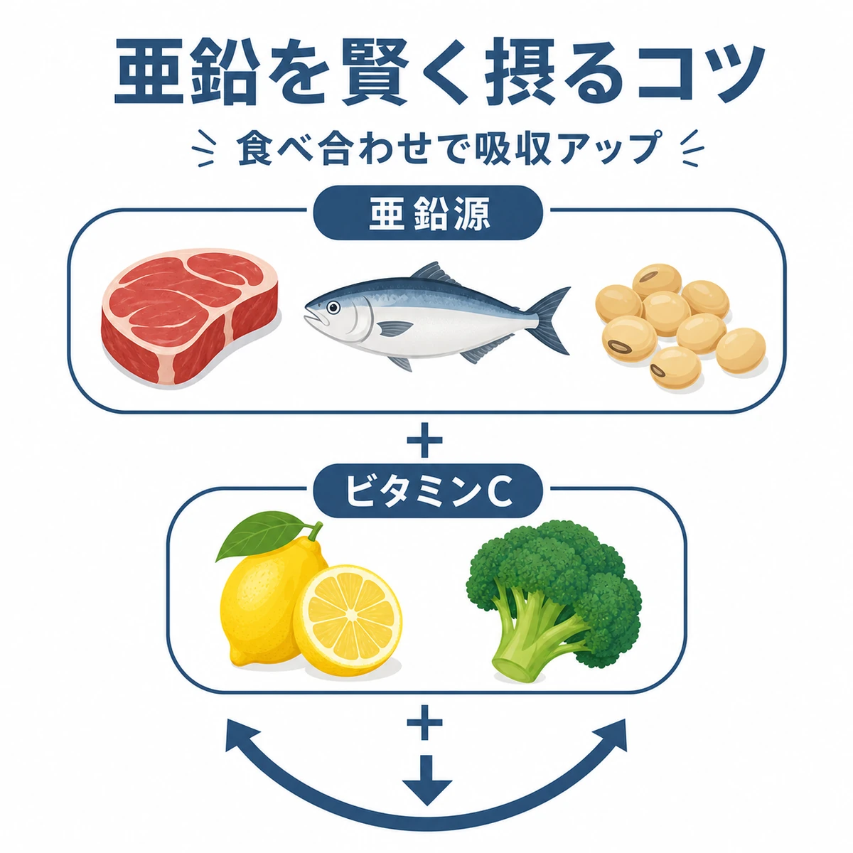 牡蠣以外の亜鉛源とビタミンCの食材を組み合わせて吸収を高めるコツを表した医療イラスト