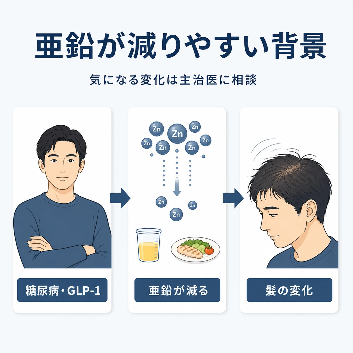 糖尿病やGLP-1治療で亜鉛が減り髪に影響しやすい流れを表した医療イラスト