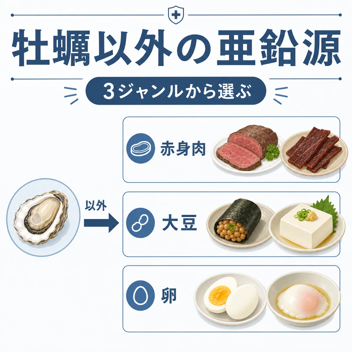 牡蠣以外で亜鉛を補える赤身肉と大豆と卵の3ジャンルを対比した医療イラスト