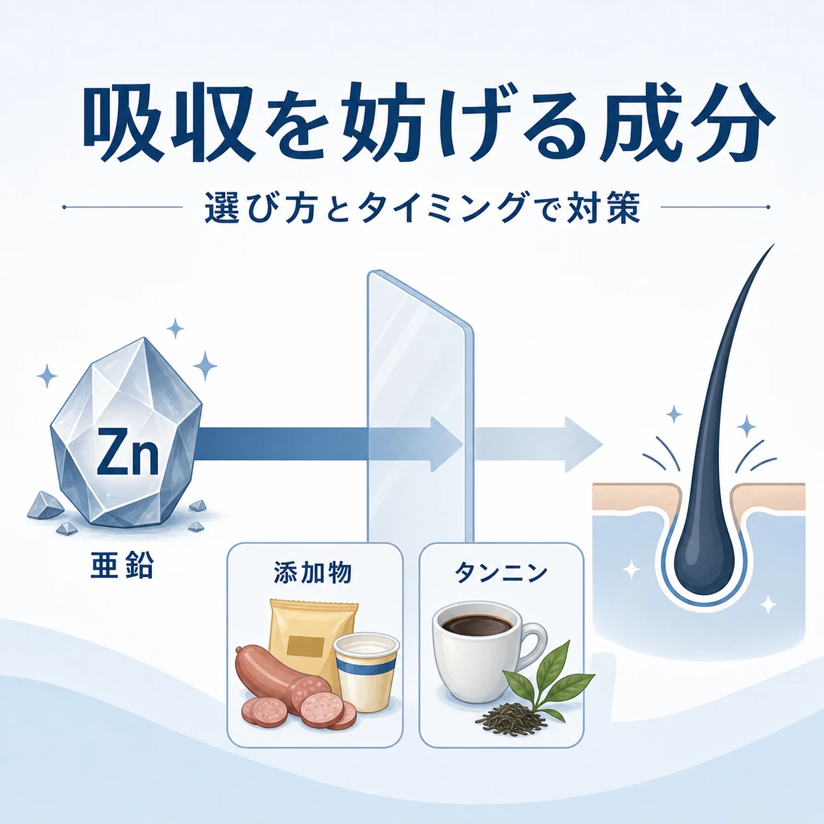 添加物やタンニンが亜鉛の吸収を妨げる仕組みを対比した医療イラスト