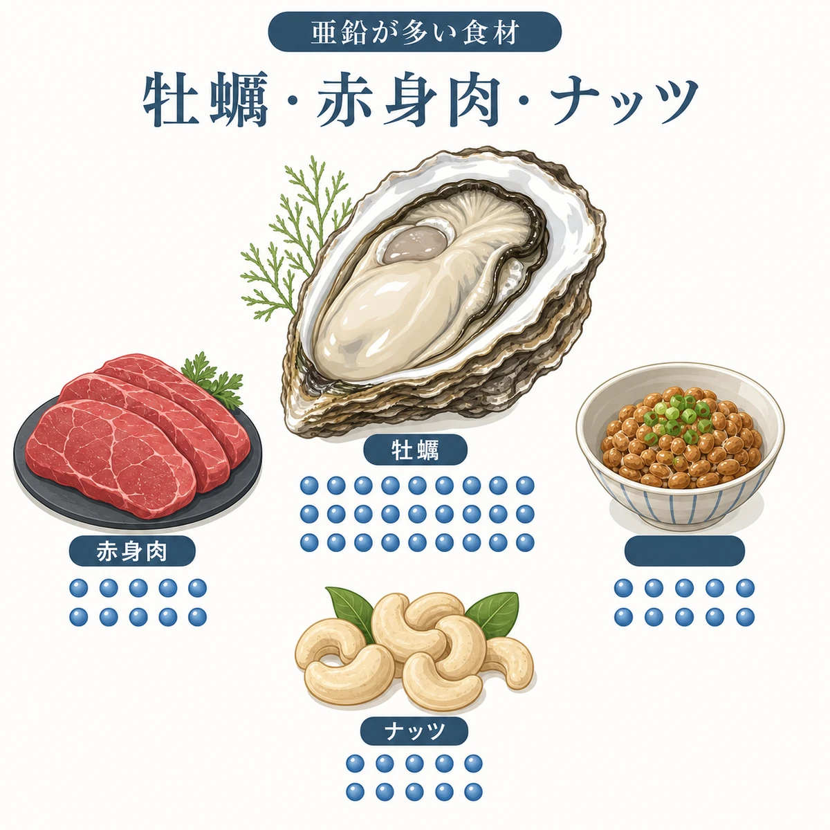 牡蠣を中心に赤身肉やナッツなど亜鉛が多い食材を集めた医療イラスト