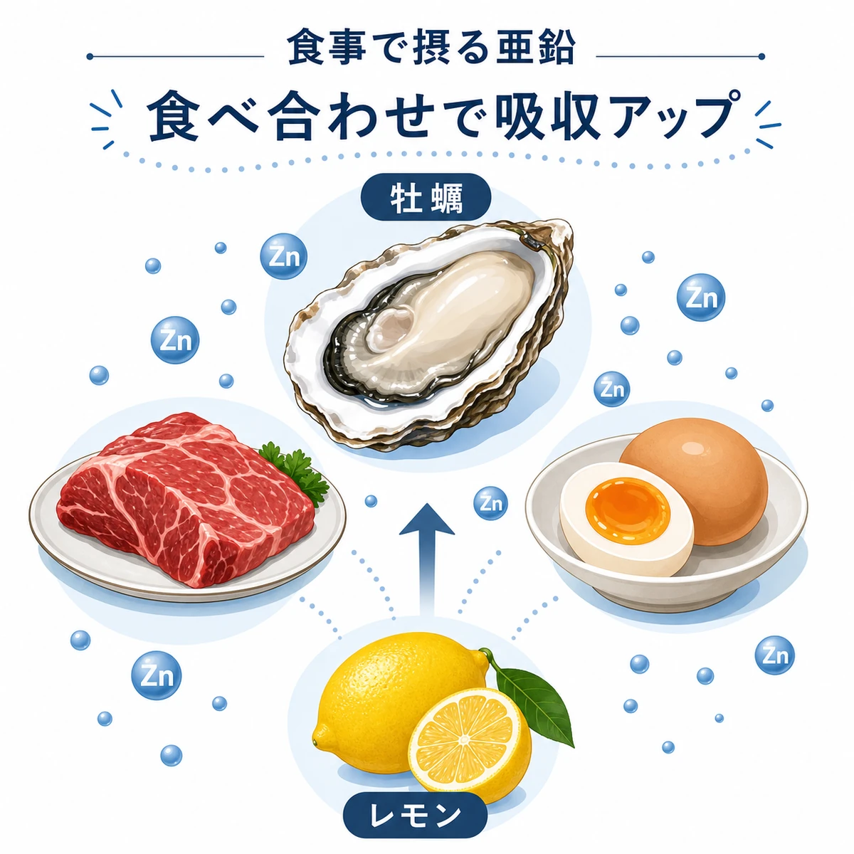 牡蠣を中心とした亜鉛の多い食材とビタミンCで吸収を高める食べ合わせを表した医療イラスト