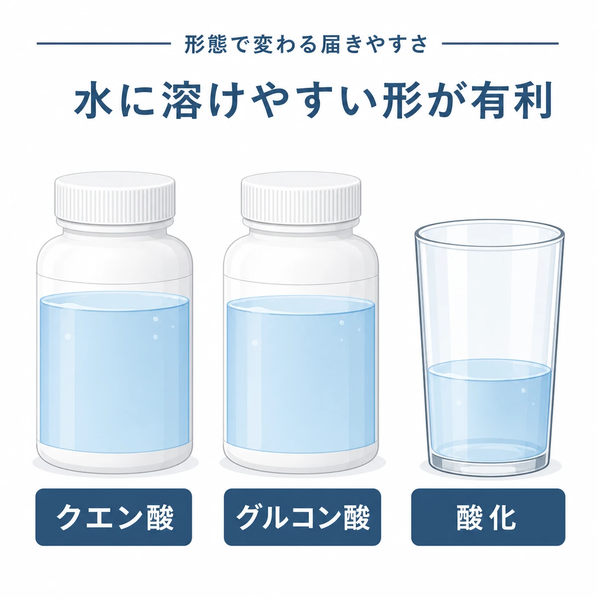 クエン酸亜鉛・グルコン酸亜鉛・酸化亜鉛の吸収されやすさを水位の高低で比べた医療イラスト