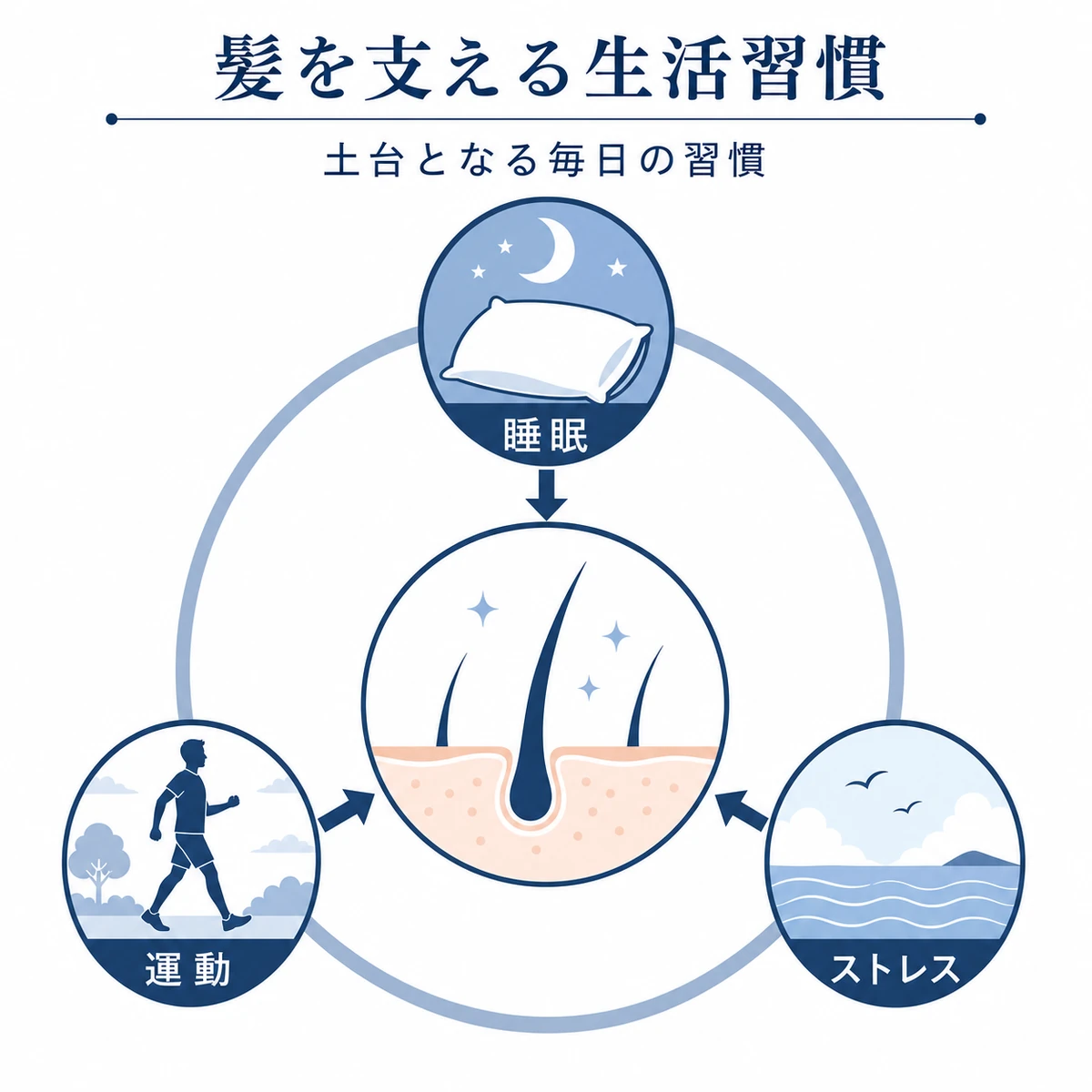睡眠とストレスケアと運動が髪の健康を支える生活習慣を円環で表した医療イラスト