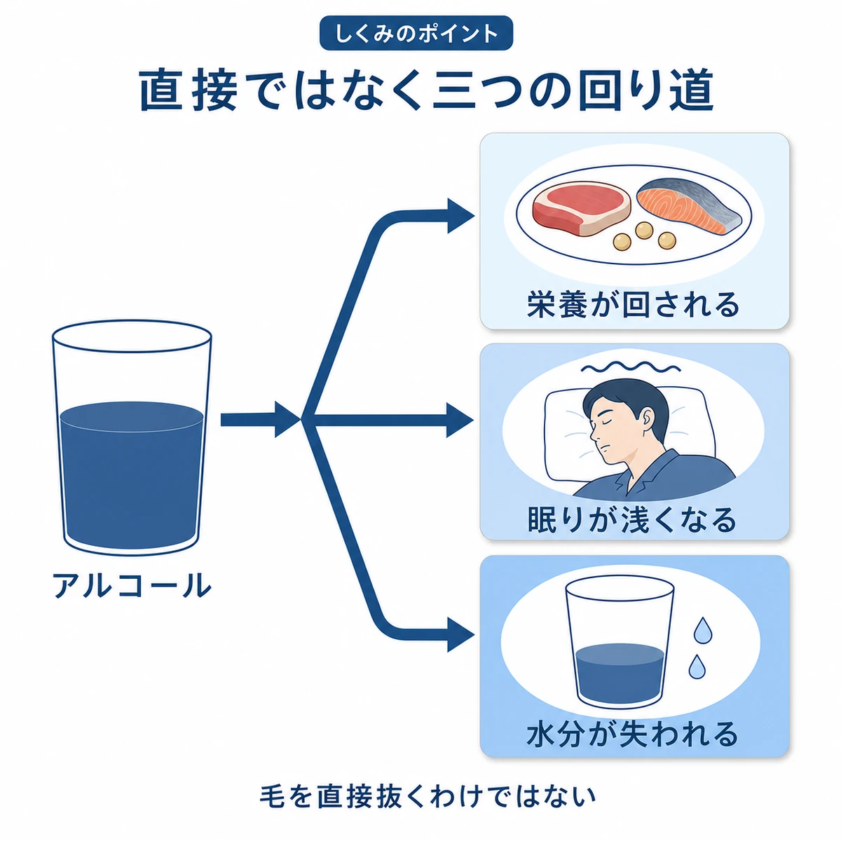 アルコールから栄養、睡眠、水分の三方向へ影響が分かれる道すじの図