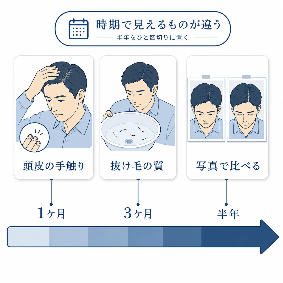 育毛剤を使い始めてから1ヶ月と3ヶ月と半年で見える変化の違いを時間の帯で並べた図解