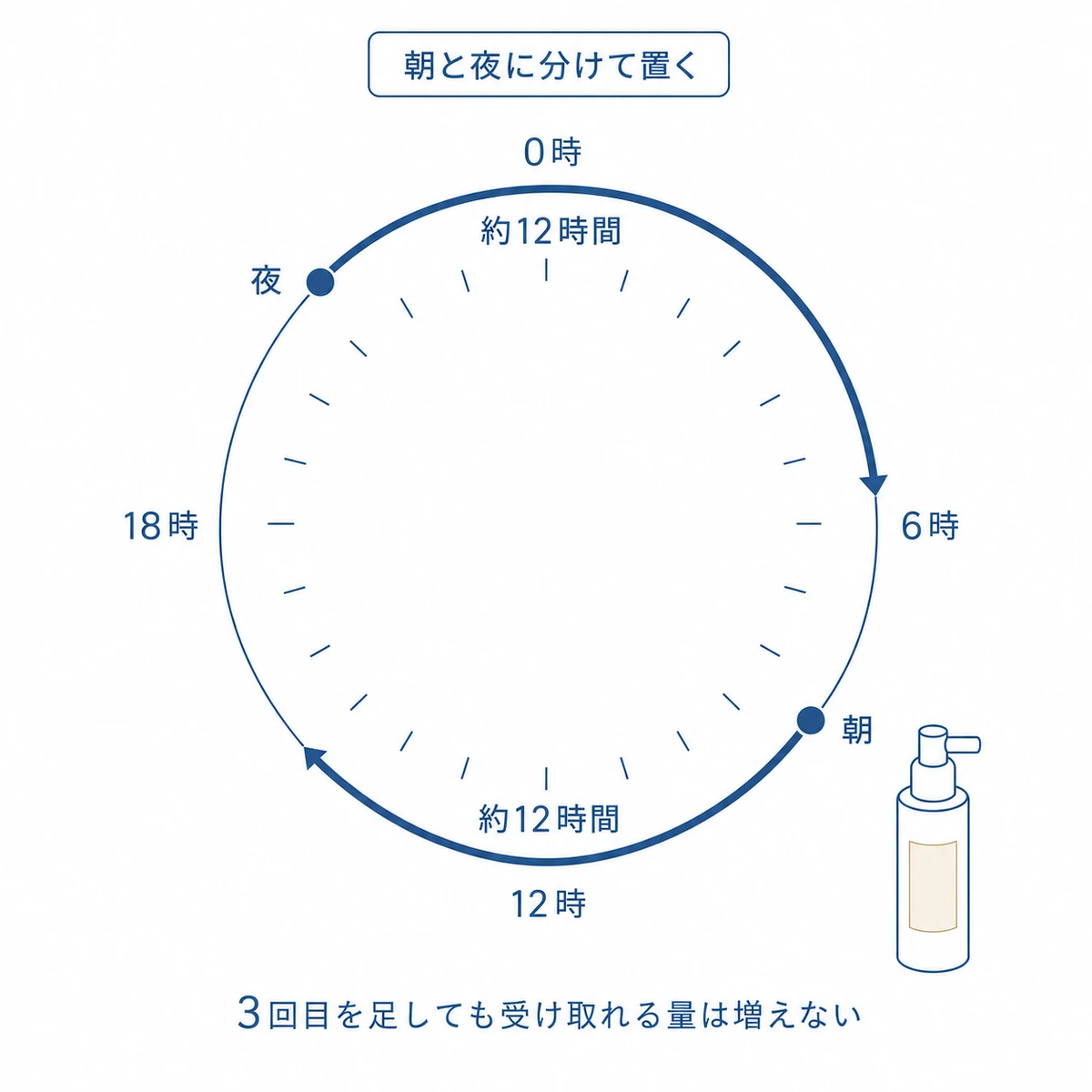 育毛剤を朝と夜のおよそ12時間おきに1日2回塗る時刻を24時間の時計で示した図解