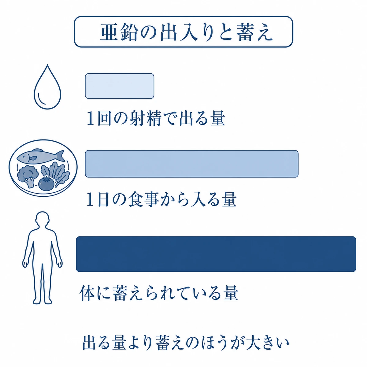 射精で出る亜鉛、食事から入る亜鉛、体内に蓄えられた亜鉛の量を3本の帯で比べた図