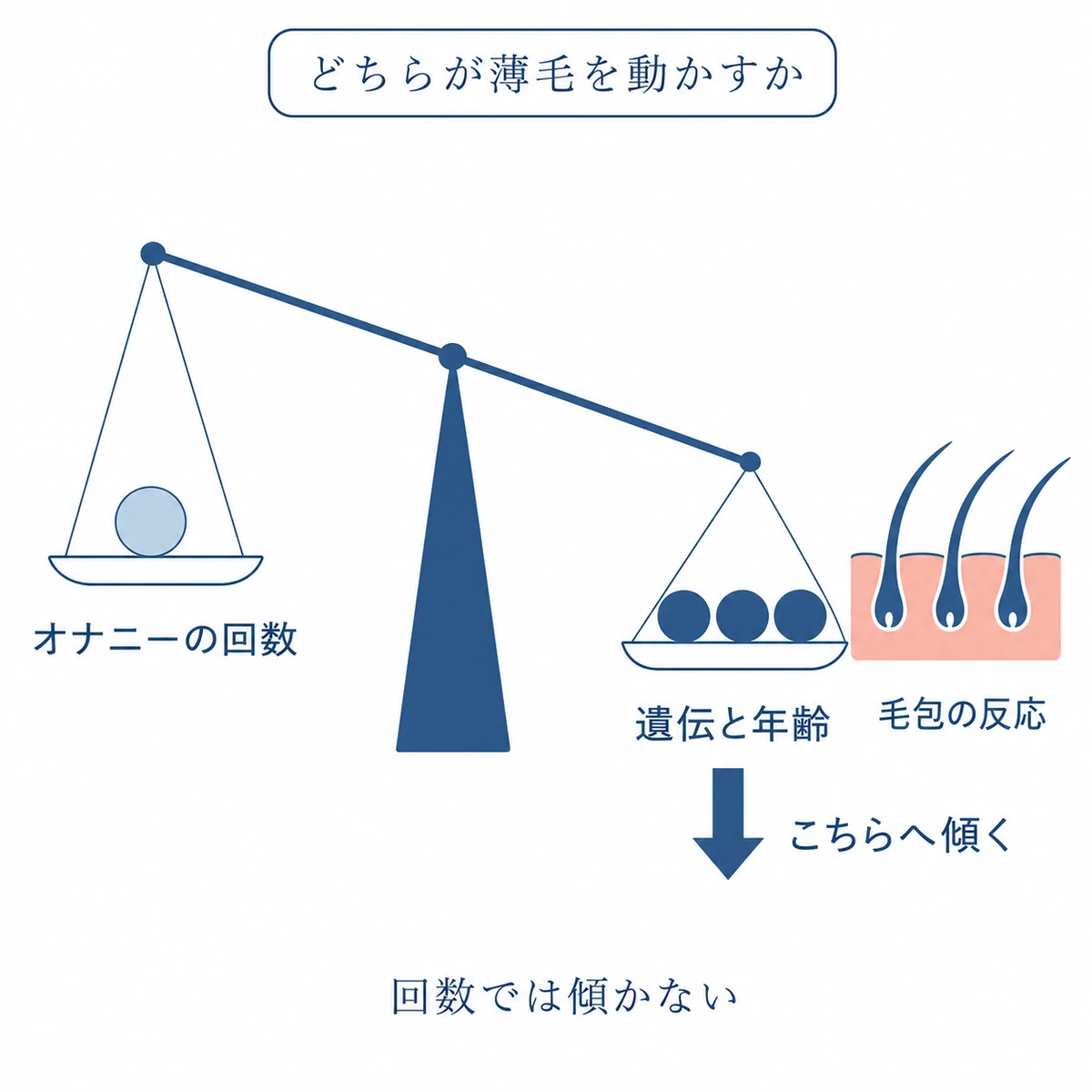 自慰の回数よりも遺伝や年齢、毛包の反応が薄毛に関わることを重さの違う天秤で示した図