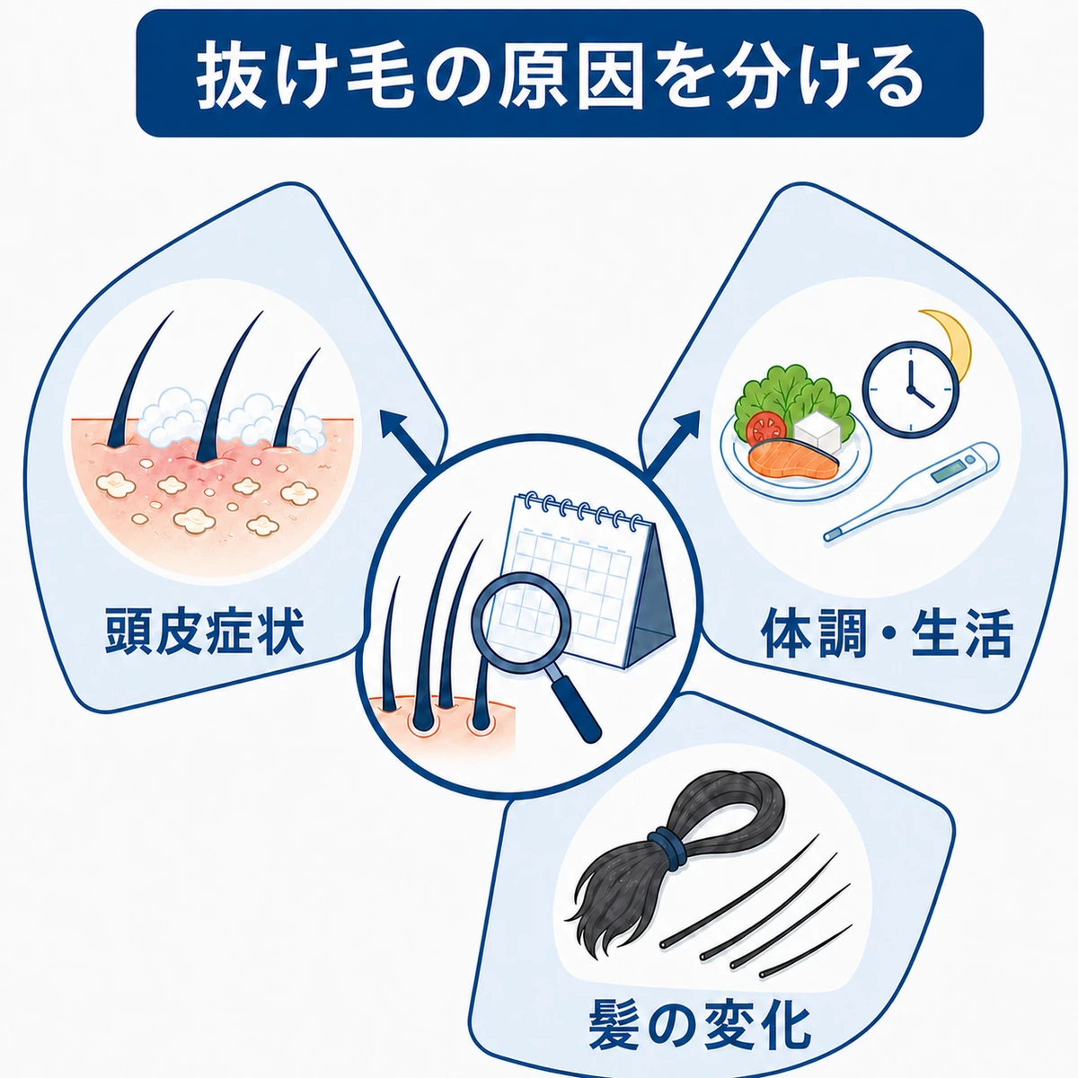 10代の抜け毛を頭皮症状と体調生活と髪の変化の3方向から確認する分類図