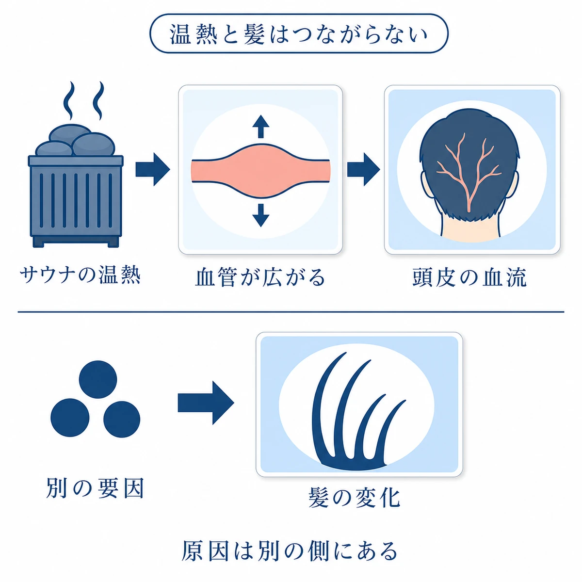 サウナの温熱による一時的な頭皮血流の変化と薄毛の要因を別の道筋で整理した相関図