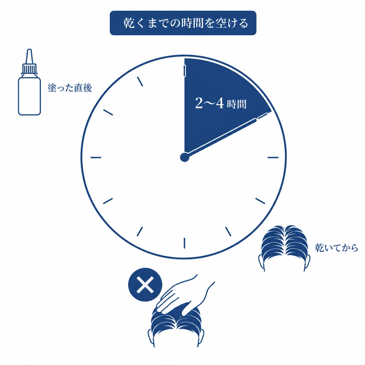 育毛剤を塗った直後から乾くまでの2〜4時間はパートナーの肌が触れないようにすることを時計で示した図解