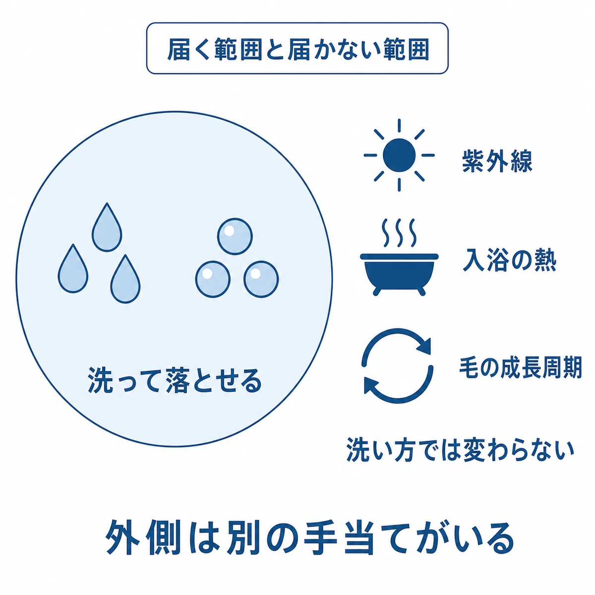 汗や皮脂など洗って落とせるものと、紫外線や毛の成長周期など洗い方では変わらない要因を分けた図