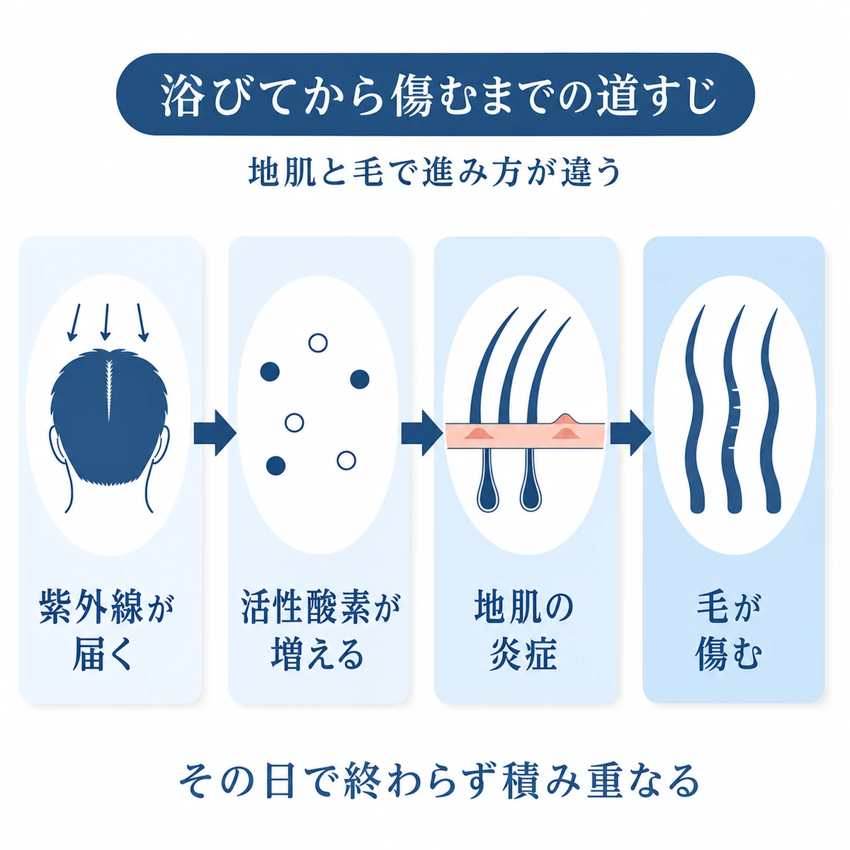 紫外線を浴びた後、活性酸素の増加を経て地肌の炎症と毛の表面の荒れに至る流れ図