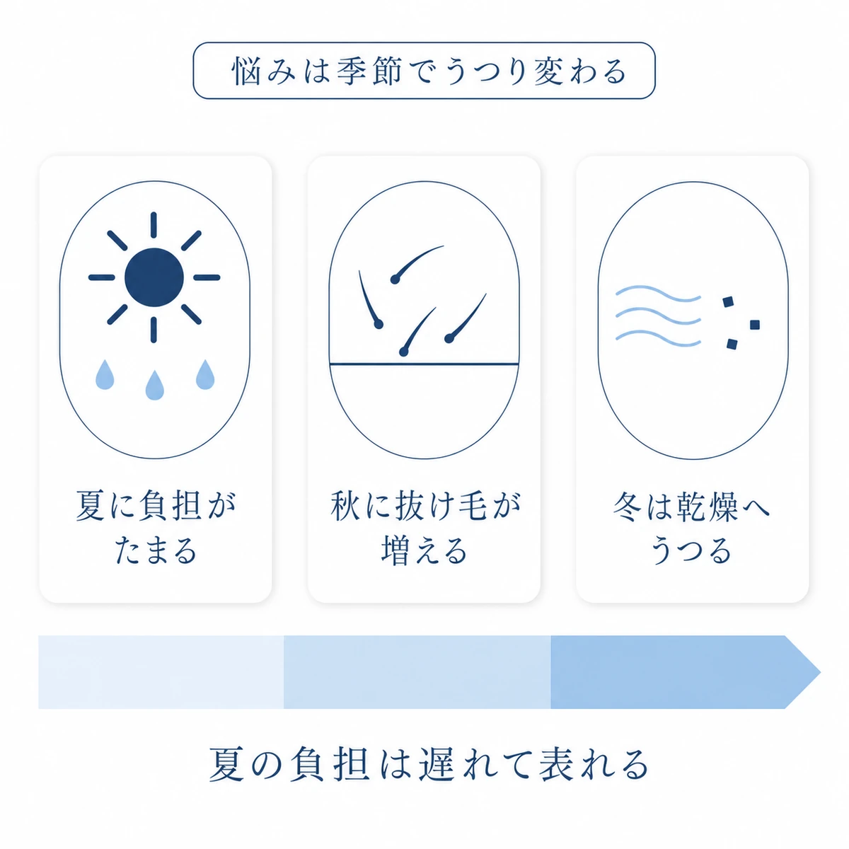 夏に蓄積した頭皮の負担が秋の抜け毛、冬の乾燥やフケへ移り変わる時系列図