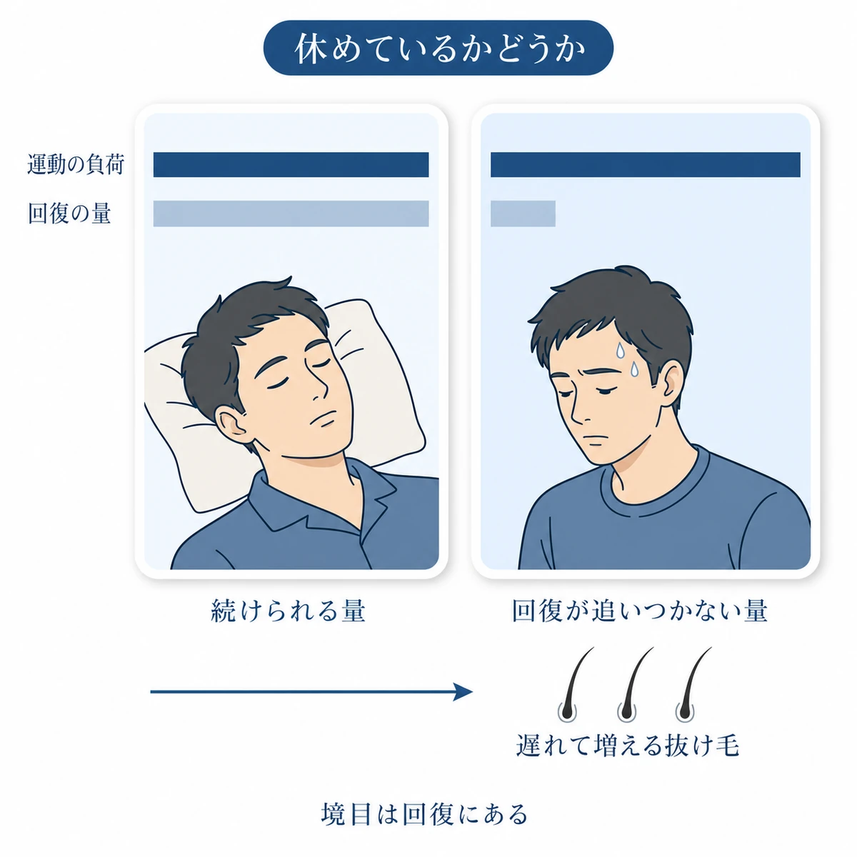 運動の負荷と回復量の釣り合いを比べ、回復不足から遅れて抜け毛が増える経過を示した図