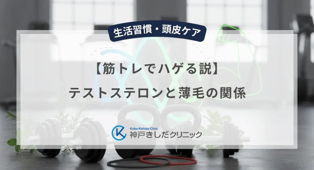 【筋トレでハゲる説】テストステロンと薄毛の関係｜男性の育毛に良い運動