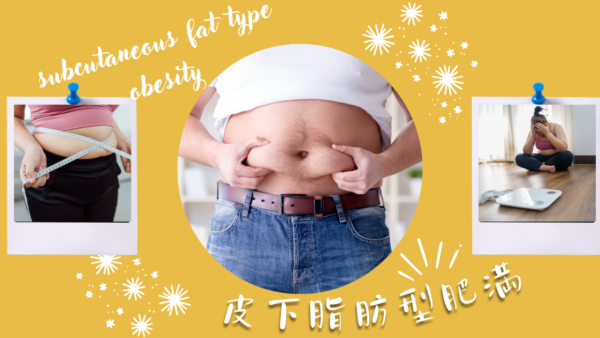 皮下脂肪型肥満(subcutaneous fat type obesity) – 代謝疾患