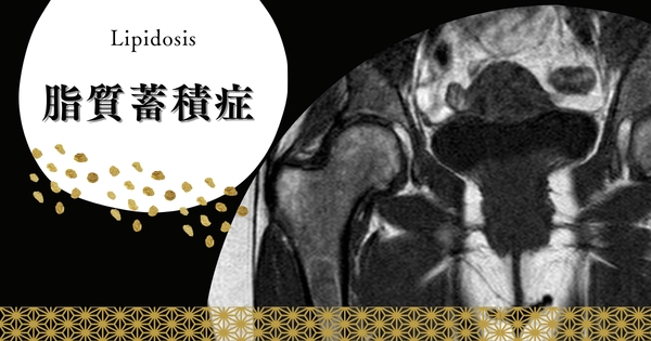 脂質蓄積症（リピドーシス: Lipidosis） – 代謝疾患