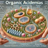 有機酸代謝異常症(Organic Acidemias) – 代謝疾患