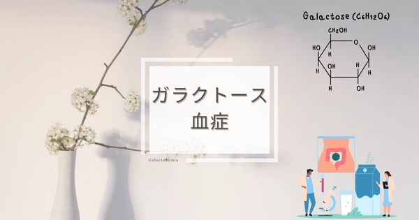 ガラクトース血症（Galactosemia） – 代謝疾患
