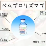 ペムブロリズマブ（キイトルーダ） – 呼吸器治療薬