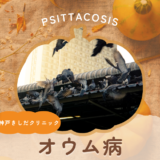 オウム病（Psittacosis） – 感染症