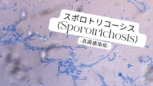 スポロトリコーシス（Sporotrichosis） – 感染症