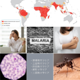 マラリア（Malaria） – 感染症