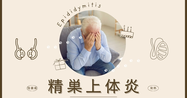 精巣上体炎（Epididymitis） – 感染症