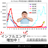 兵庫県でインフルエンザが増加中！冬の季節、増加する感染症への6つの正しい理解と対策 – コラム