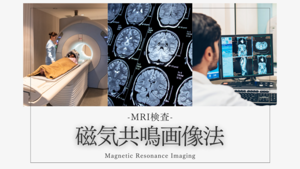 磁気共鳴画像法（MRI検査 / Magnetic Resonance Imaging / MRI）