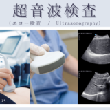 超音波検査（エコー検査 / Ultrasonography / US）