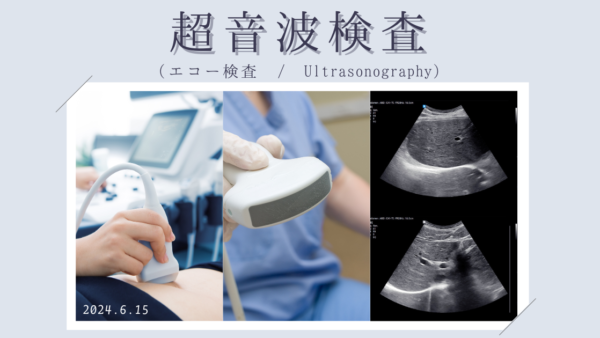 超音波検査（エコー検査 / Ultrasonography / US）