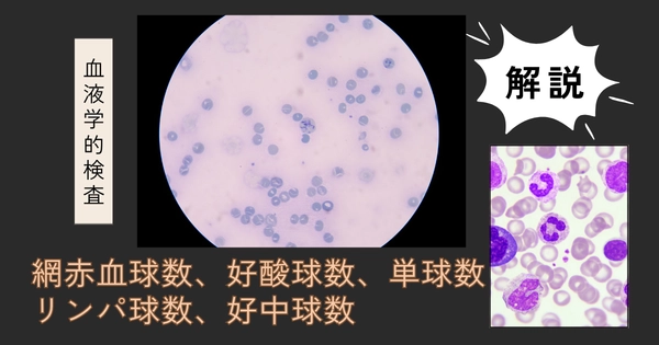 網赤血球数、好酸球数、単球数、リンパ球数、好中球数の血液学的検査