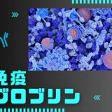 免疫グロブリン（免疫グロブリン検査 / Immunoglobulin Test / Ig）