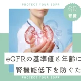 eGFRの基準値と年齢による変化｜腎機能低下を防ぐための対策