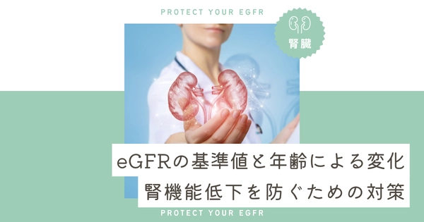 eGFRの基準値と年齢による変化｜腎機能低下を防ぐための対策