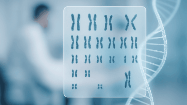 先天性疾患染色体（先天性疾患染色体検査 / Congenital Disorder Chromosome Test）
