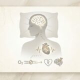 睡眠時無呼吸症候群で突然死する確率は？心筋梗塞や脳卒中を引き起こす危険なメカニズム